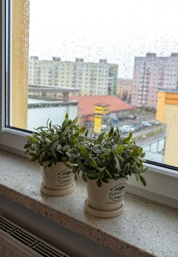 Top Floor Apartment Gorzów Wielkopolski Eksteriør bilde